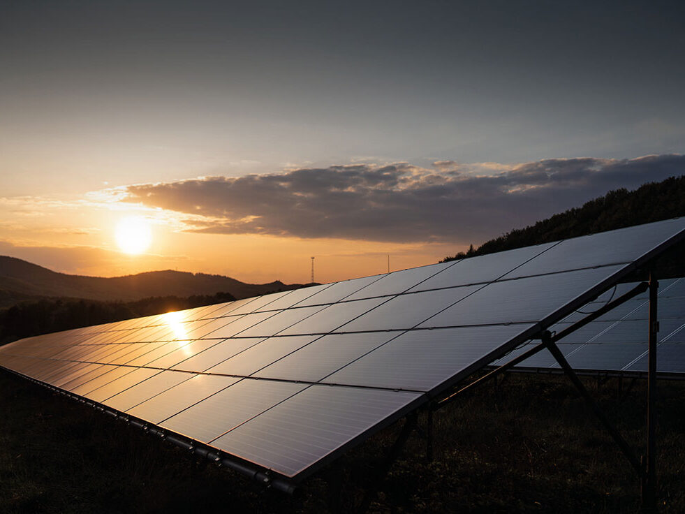 Slide-pagina-QUIENES-SOMOS-gallery4