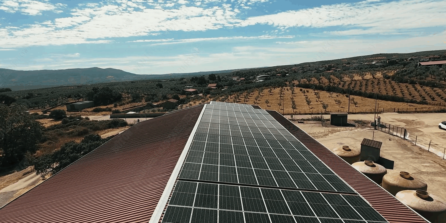 LONGi Solar 2025_ (32) LONGi Solar 2025