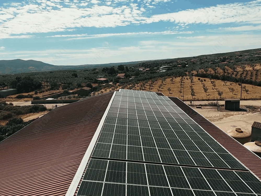 LONGi Solar 2025_ (32) LONGi Solar 2025