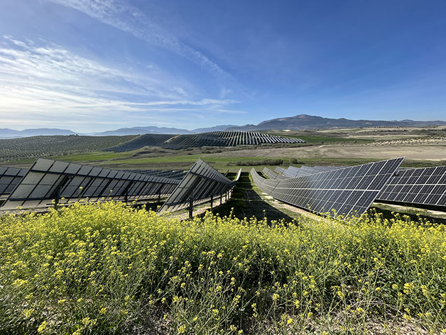 Matrix Renewables