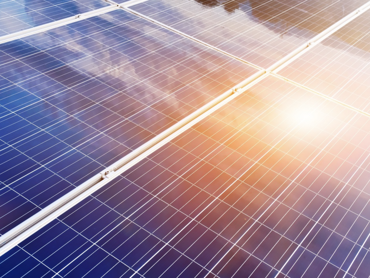 Screenshot 2024-11-20 alle 10.47.41