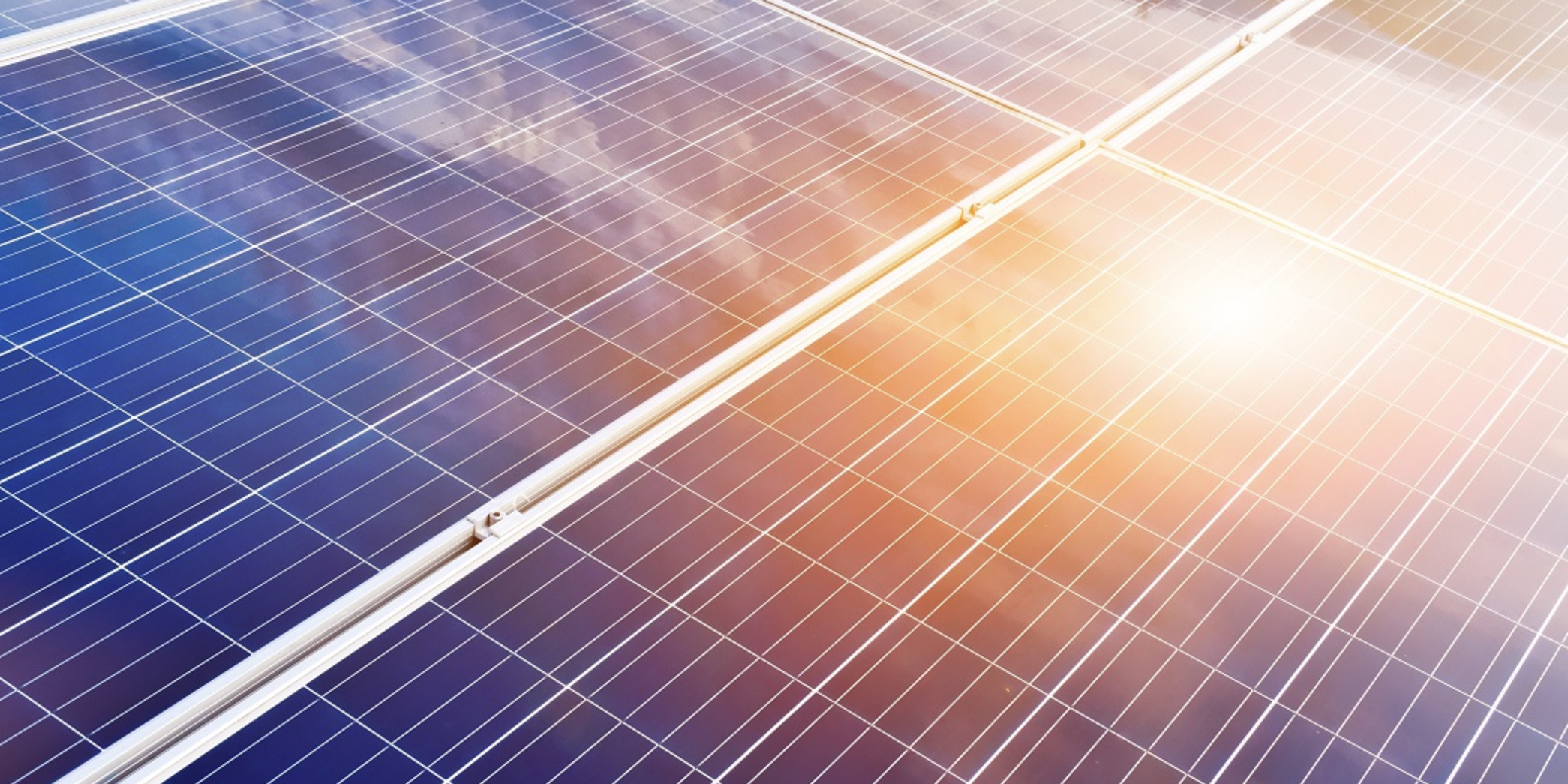 Screenshot 2024-11-20 alle 10.47.41