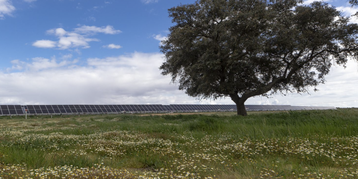 Soltec
