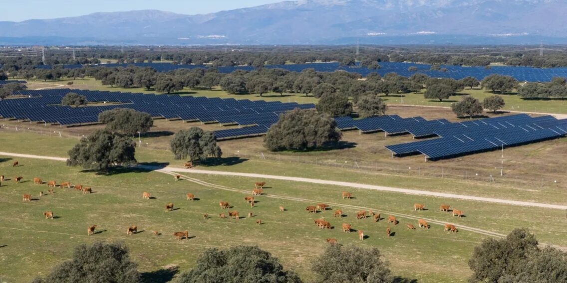 Statkraft Cáceres Statkraft Cáceres