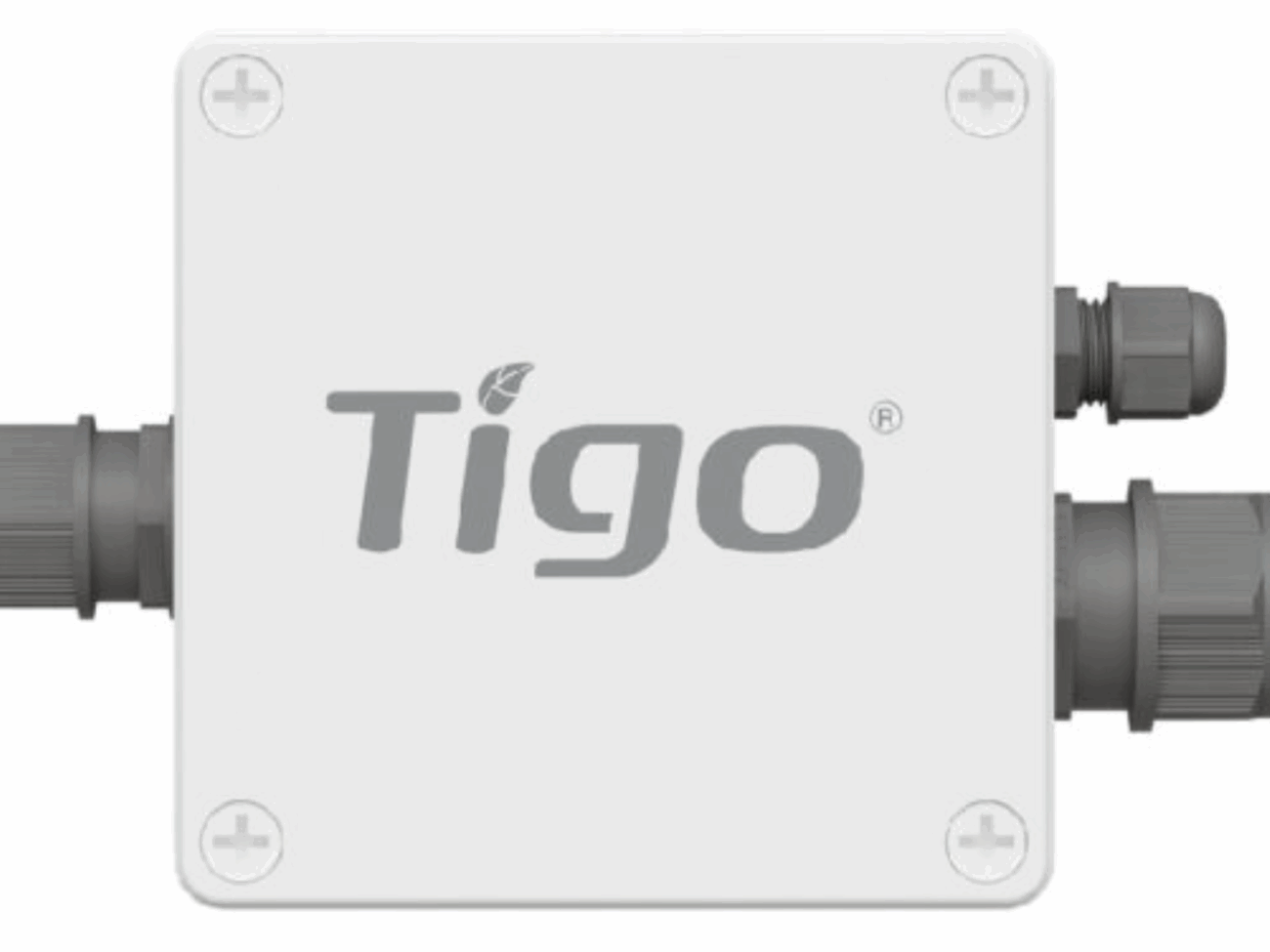 TIGO