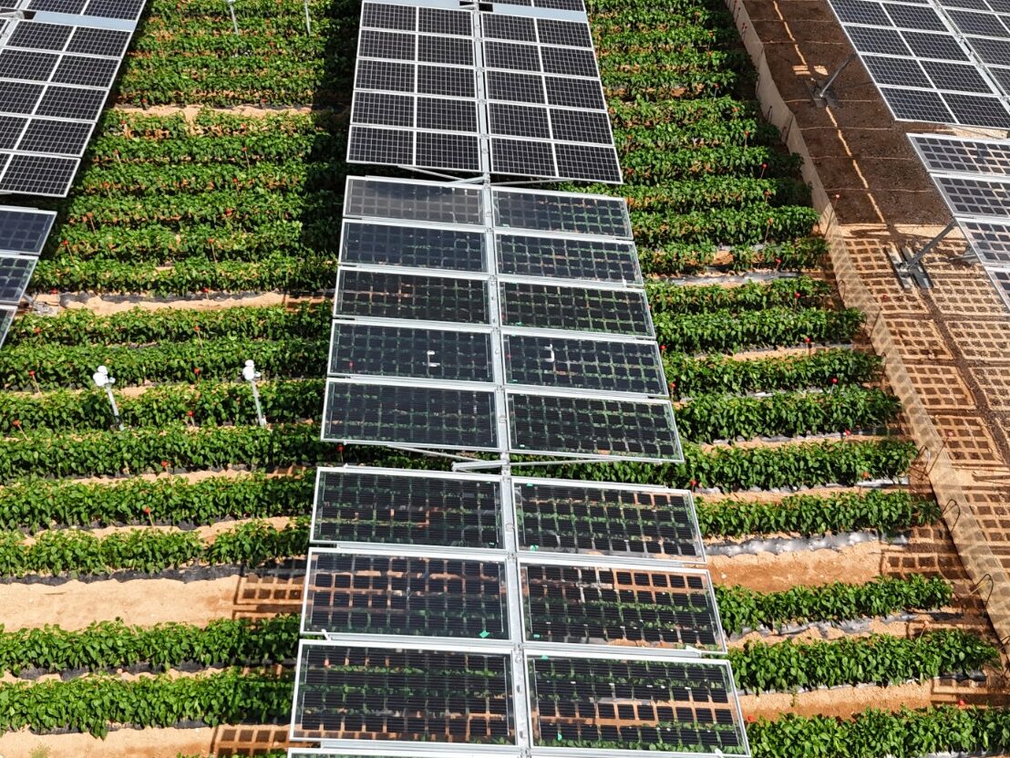 Unef analizará el potencial de la agrovoltaica en Murcia