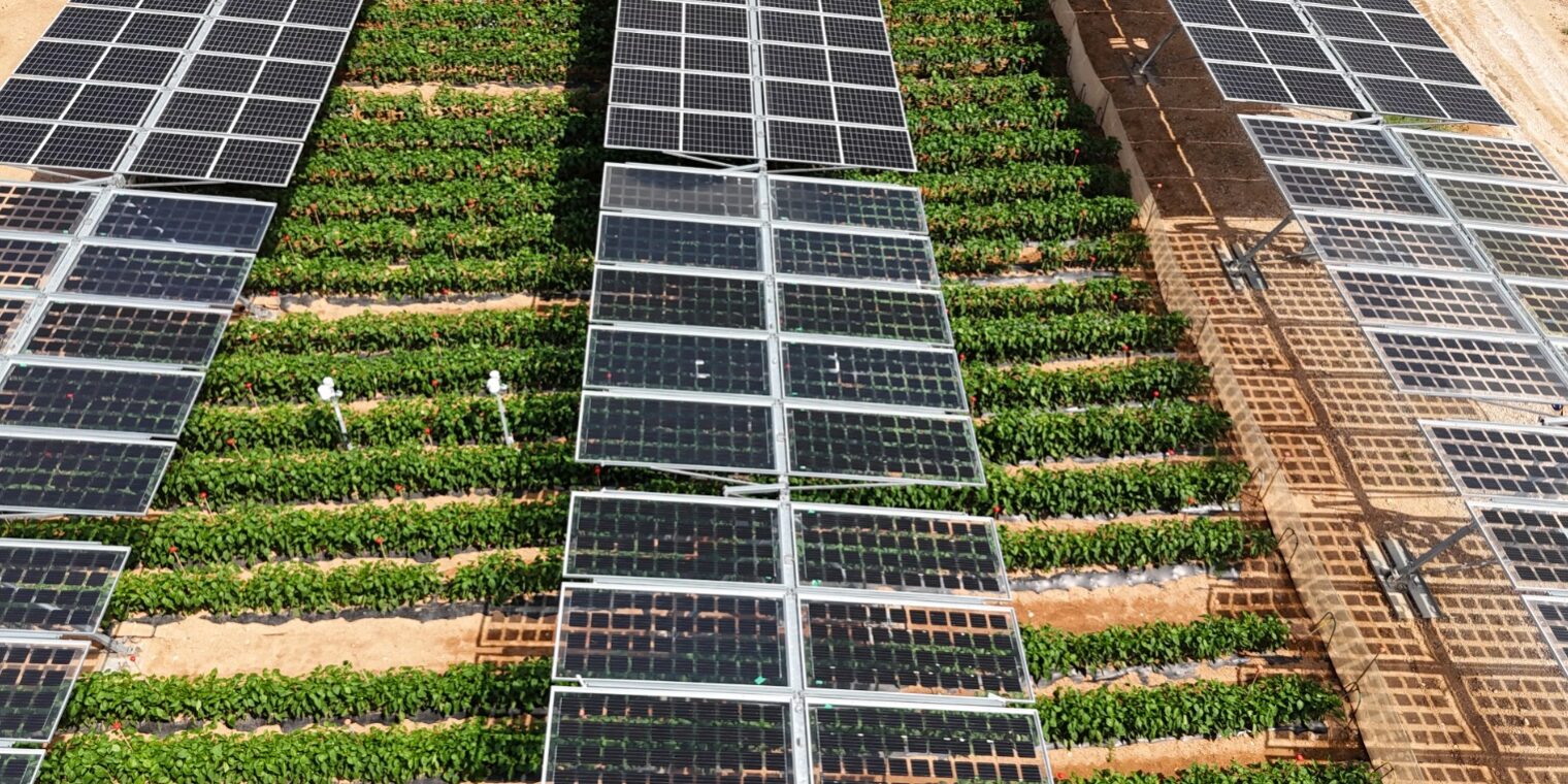 Unef analizará el potencial de la agrovoltaica en Murcia