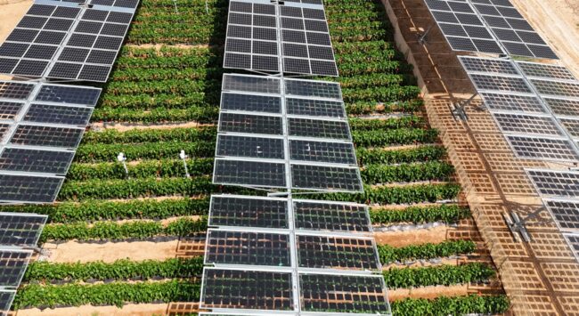 Unef analizará el potencial de la agrovoltaica en Murcia