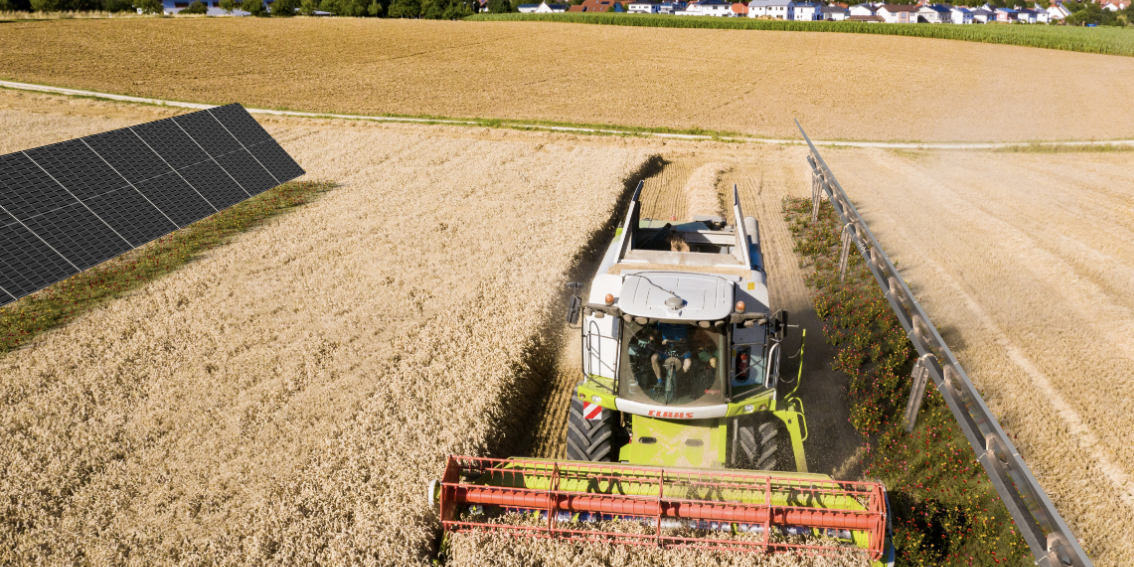 agrivoltaicas